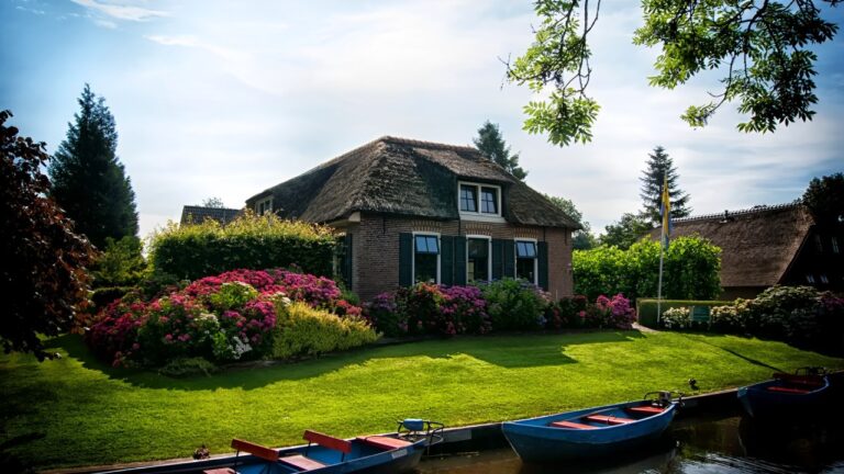 How to Grow a Beautiful and Productive Garden