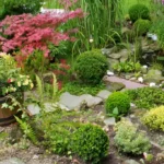How to deal with pests and diseases in your garden – Brogn