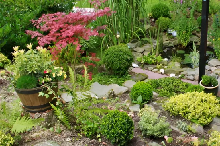 How to deal with pests and diseases in your garden – Brogn