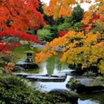 What Gardening Zone is Seattle and How to Garden There