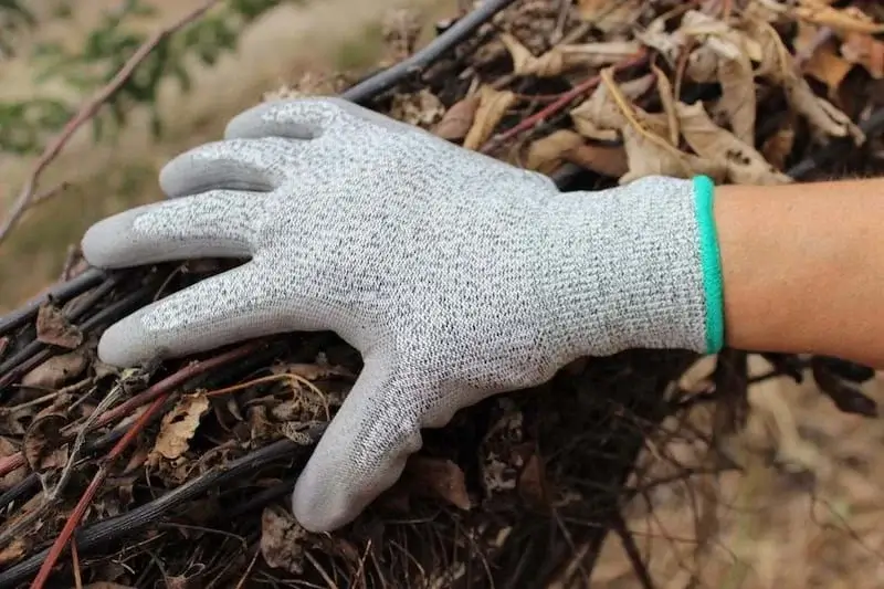 Ranking the Best 3 Gardening Gloves – From Soil to Style