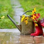 Tips for Climate-Resilient Gardening: Adapting Your Garden to Extreme Weather
