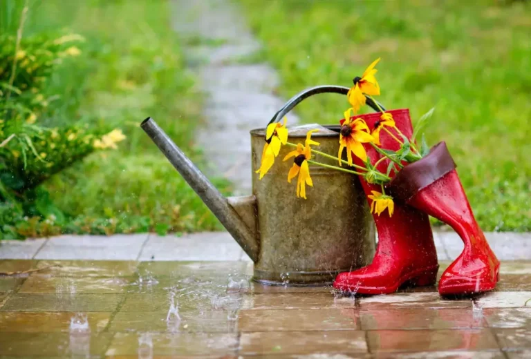 Tips for Climate-Resilient Gardening: Adapting Your Garden to Extreme Weather